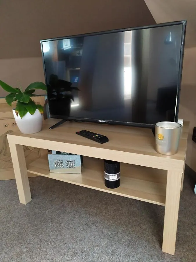 Apartmán Podkrovní apartmán v přírodě, vhodný k relaxaci i na služební cesty Cerna u Bohdance Česká republika