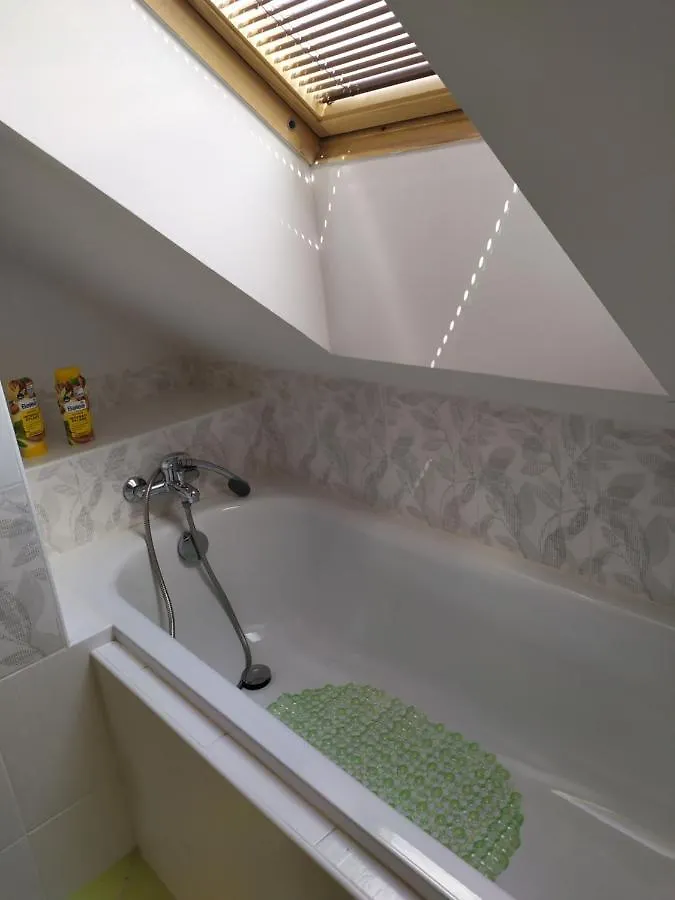 Ubytování v soukromí Apartmán Podkrovní apartmán v přírodě, vhodný k relaxaci i na služební cesty Cerna u Bohdance