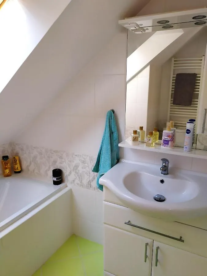 Apartmán Podkrovní apartmán v přírodě, vhodný k relaxaci i na služební cesty Cerna u Bohdance