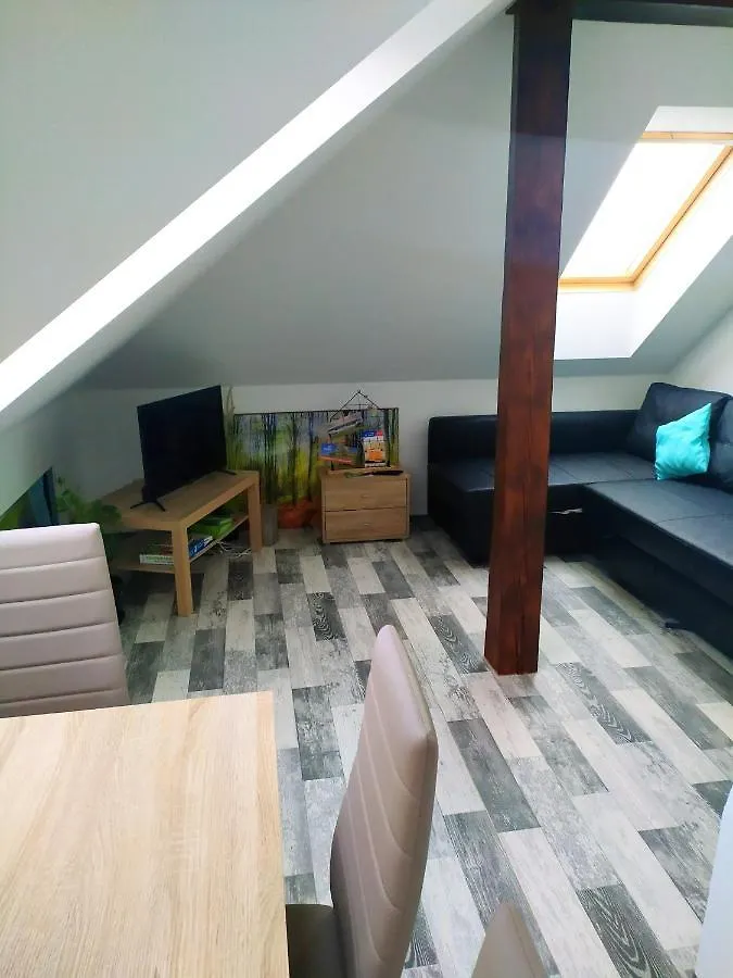 Apartmán Podkrovní apartmán v přírodě, vhodný k relaxaci i na služební cesty Cerna u Bohdance Ubytování v soukromí